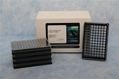 Oris Pro 384 Cell Migration Assay 384 Wells For Lab Use Single Phase