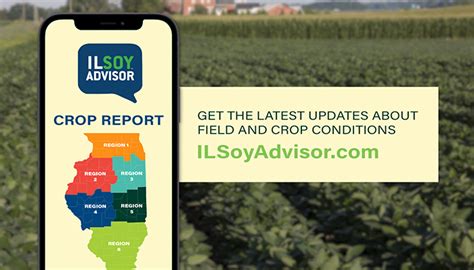 Ilsoyadvisor Launches Crop Report Tool For Illinois Growers Ilsoyadvisor