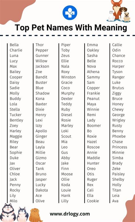 Top Pet Names With Meaning Cute Cat Names Cat Names Names With Meaning