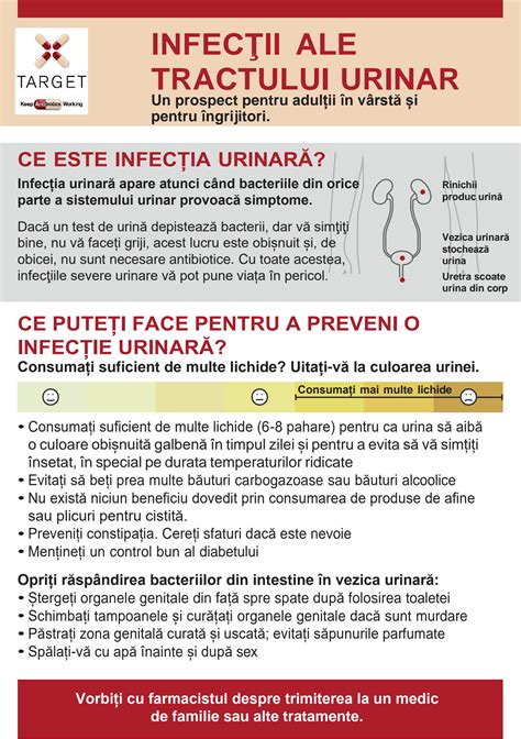 Solution Infec Ii Ale Tractului Urinar Studypool