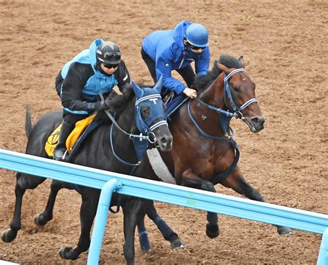 【安田記念】シュネルマイスター 迫力満点 圧巻の末脚披露で三度目の正直vなるか 競馬ニュース Netkeiba