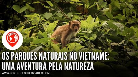 Os Parques Naturais No Vietname Uma Aventura Pela Natureza