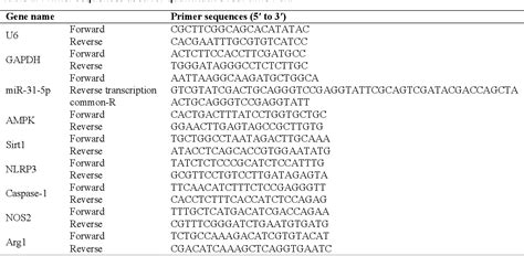 Table From Antagomir Of Mir P Modulates Macrophage Polarization