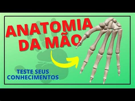 OSSOS DA MÃO Corpo Quiz YouTube