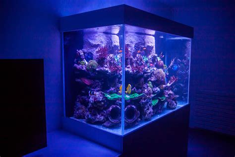 Aquarium récifal 1200 litres EAS Paysages Aquatiques