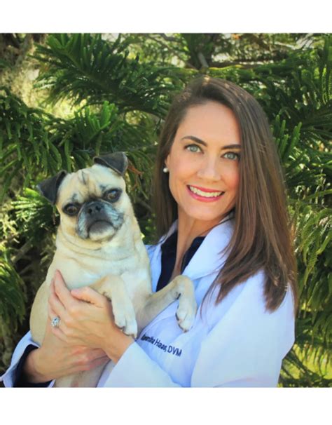 Samantha Haas Linden Dvm Southeast Veterinary Oncology And Internal