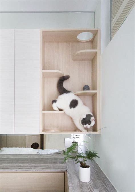 30 Easy Diy Cat Shelves Ideas That Will Wow Them Homemydesign