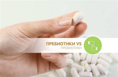 Лучшие пребиотики — 🏆 Рейтинг препаратов с ценами