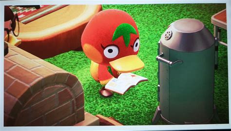Acnh Animalcrossing Newhorizons Nintendo Nintendoswitch Duck