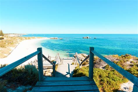 From Fremantle Rottnest Island Ferry And Bike Day Tour Getyourguide