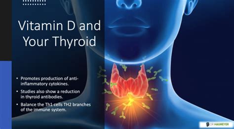 Best Vitamins To Help Heal Your Thyroid When You Have Hashimotos