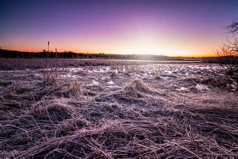 Frostig Foto & Bild | landschaft, jahreszeiten, winter Bilder auf ...