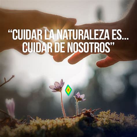 Pin En Frases Sobre La Naturaleza