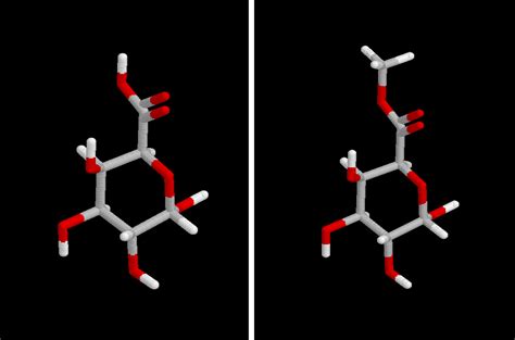 Ácido galacturónico y ácido galacturónico metoxilado