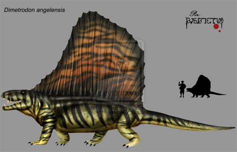 Image Dimetrodon Angelensis By Theropsida Dinopedia Fandom