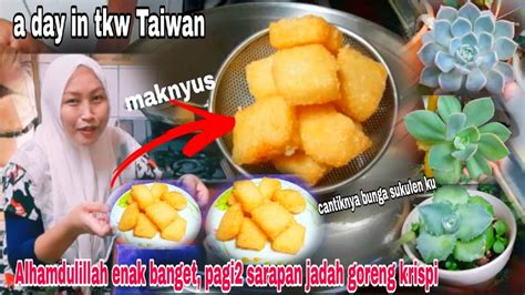 Enak Banget Sarapan Jadah Goreng Lanjut Update Tanaman Dan Bunga