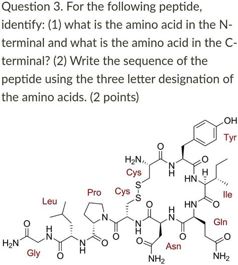 Question 3 For The Following Peptide Identify 1 What Is The Amino