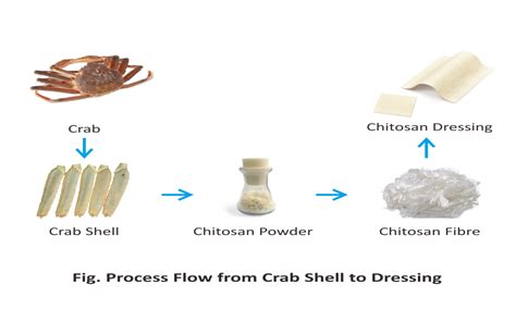 Chitosan Dressing Foshan United Medical Technologies Ltd