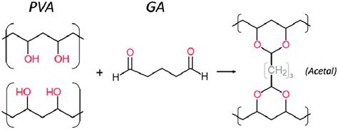 The Crosslinking Reaction Between Pva And Ga A And The 57 Off