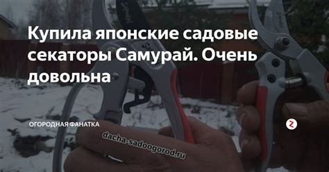 Купила японские садовые секаторы Самурай. Очень довольна | Огородная ...