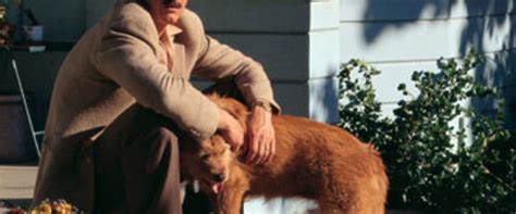 The Assassination Of Richard Nixon Movie Review 2005 Roger Ebert