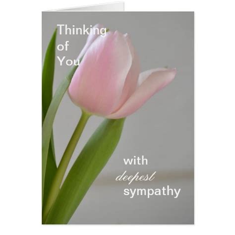 Pink Tulip Deepest Sympathy Card Zazzle