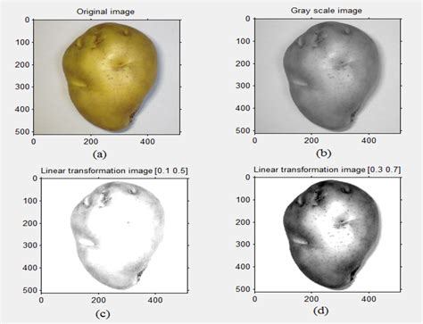 Gray Scale And Linear Transformation Download Scientific Diagram