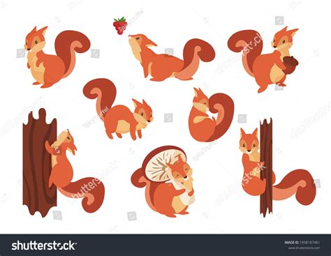 Squirrel In Tree Clip Art