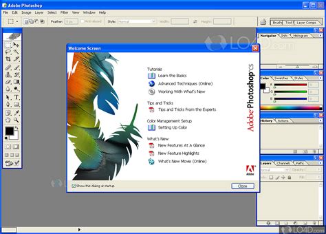 Adobe photoshop 8.0 installer - jdnelo