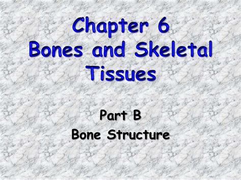 PPT Chapter 6 Bones And Skeletal Tissues PowerPoint Presentation