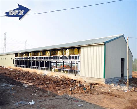 Chicken Poultry Farm Design Hen Farming Poultry House for 20000 ...