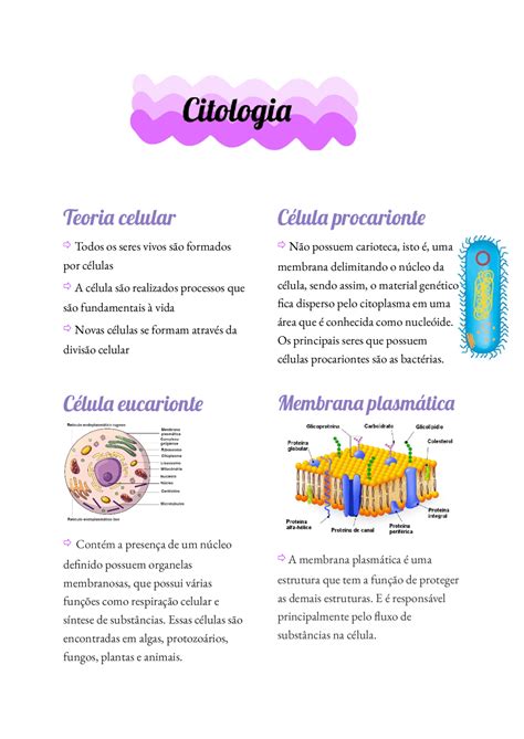 Citologia Resumo Pdf - Citologia Básica.pdf | Resumos Biologia | Docsity