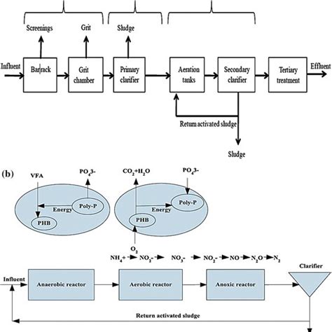 a The treatment processes in a typical conventional activated sludge ...