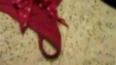 Merci Voisine Free Solo Man Porn Video C XHamster