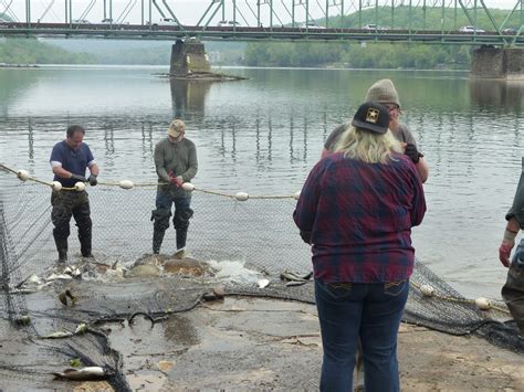 Steve Meserve On Shad Fishing Lambertvilles Venerable Hobby