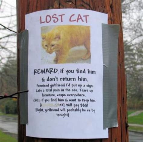 20 Hilarious 'Lost Pet' Signs