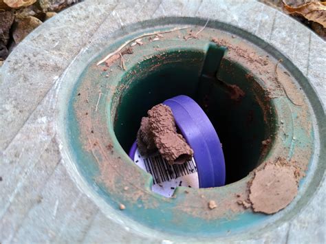 I found these while checking my termite baits. Are these mud tunnels