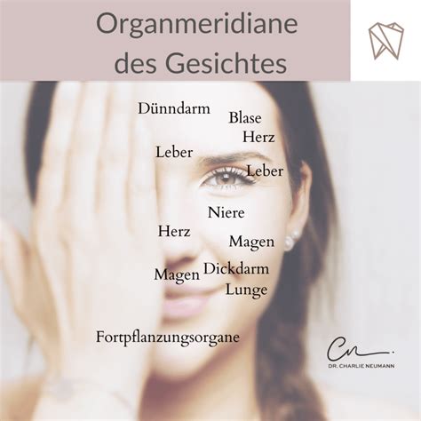 Meridiane Des Gesichtes Dr Charlie Neumann