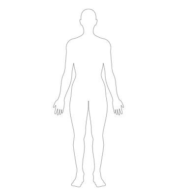 Anatomical Position Anterior View Female Body Outline Vector Posters