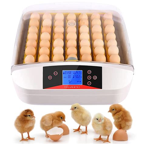 Plohee Incubadora Digital De 55 Huevos Con Control De Temperatura Para