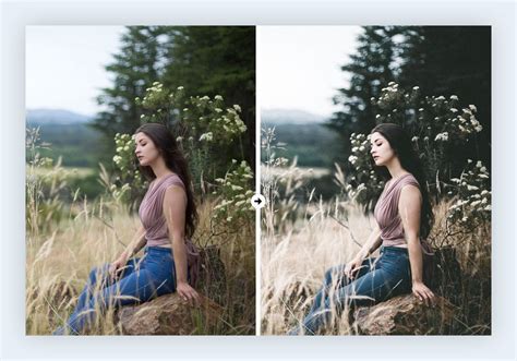 35 Best Vsco Lightroom Presets Freepaid 2022