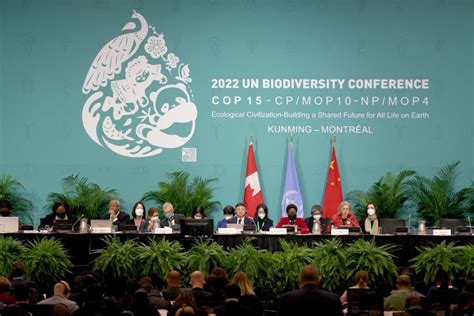 Cop Mundo Ganha Acordo Global De Prote O Da Biodiversidade Veja Os