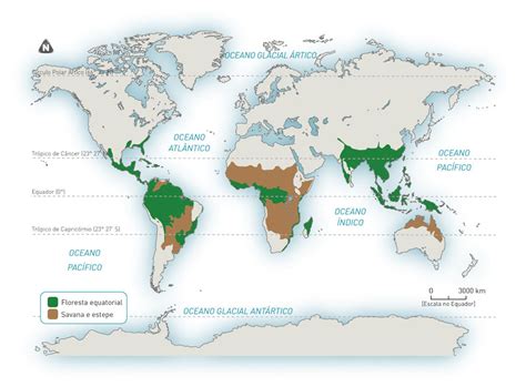 Mapa Mental Biomas Do Mundo Fdplearn