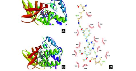 superposition  ligand   protein ligand complex obtained