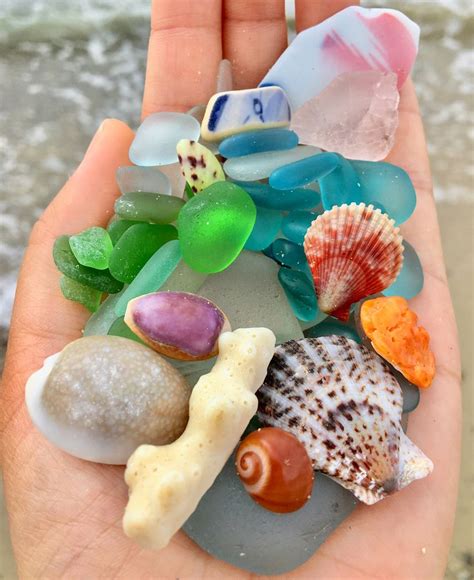 今日のビーチコーミング⛱🤗🌊 Beachcomber Beachcombing Beachfinds Shells Seashells Seaglass Beachglass