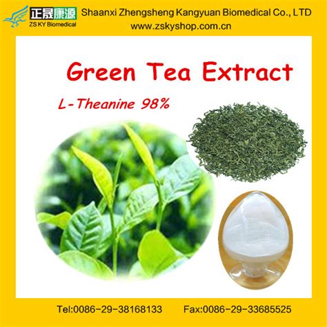 L Theanine Powder Green Tea Extract China ZSKY Price Supplier 21food