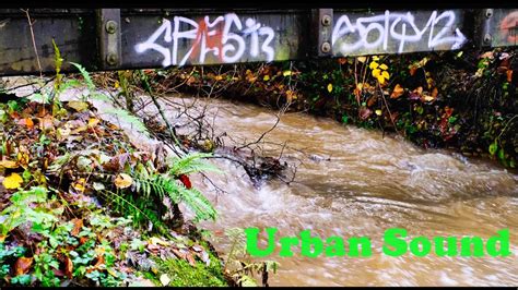 Urban Nature Sound For Relaxation White Noise Asmr YouTube