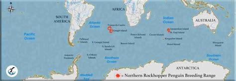 Rockhopper Penguin Habitat Map