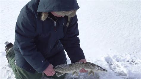 Island Lake Conservation Area Pike Youtube