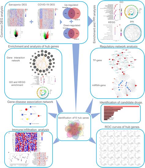 Frontiers Bioinformatics And System Biology Approach To Identify